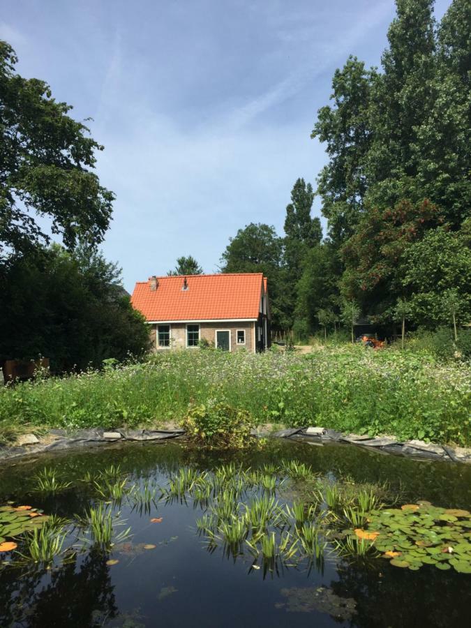 Het Kunstenaarshuis คัมเปอร์ลันด์ ภายนอก รูปภาพ